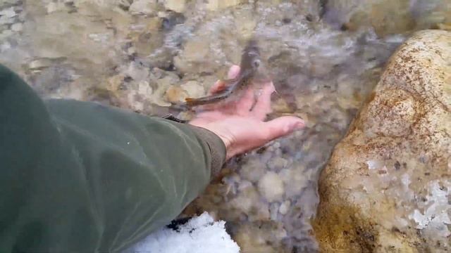 Рыбалка в КБР # fishing смотреть онлайн