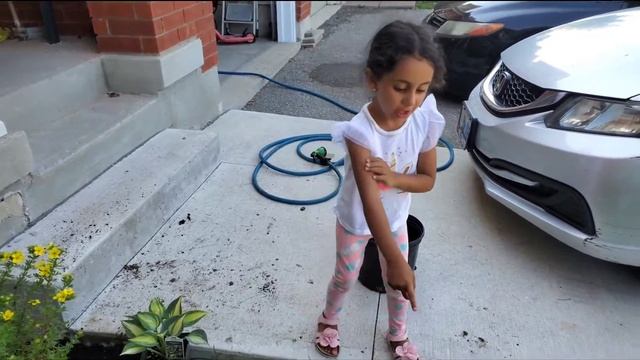 How To Start A Garden With Marina