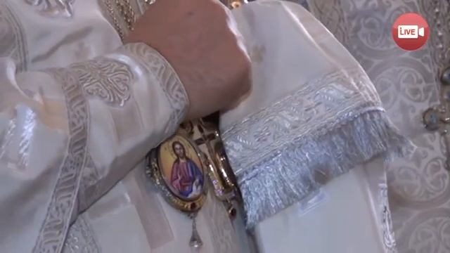 Слонимские дети спели митрополиту Павлу Рождество Христово смотреть онлайн