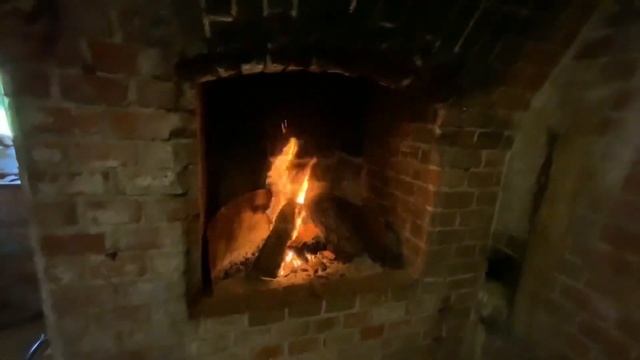 Балтийск / Балтийская коса ??? ‘Домашние’ лебеди?? Калининград Лето 2022 смотреть онлайн