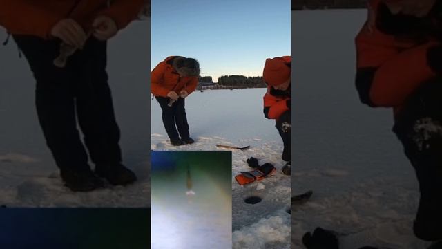 Клюнул на подводную камеру! смотреть онлайн