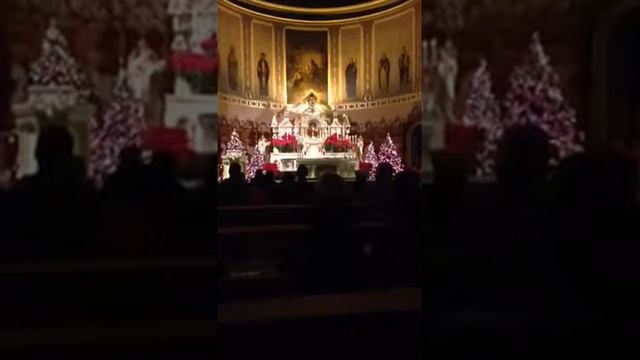 St. Stanislaus Kostka midnight Mass смотреть онлайн