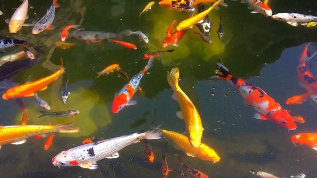 ?Музыка для настроения отдыха сна.? Медитация.? Релакс?Сон? смотреть онлайн