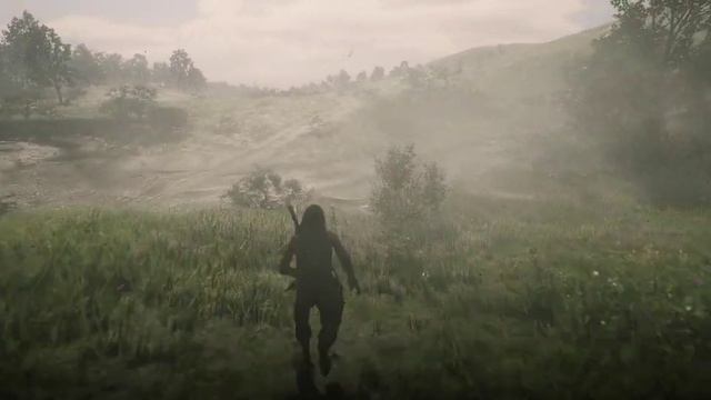 Red Dead Online [ RDO Guide // Гайды ] Как вызвать Ваш тюремный фургон или охотничью повозку в RDO?