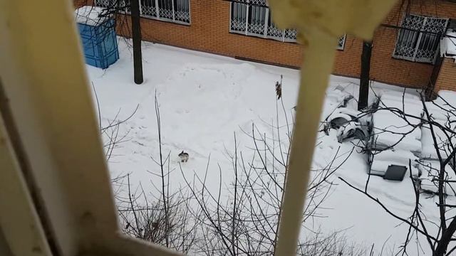 Зайка на Измайловском бульваре смотреть онлайн