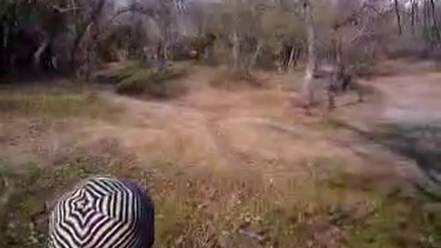 Когда лягушки спят смотреть онлайн