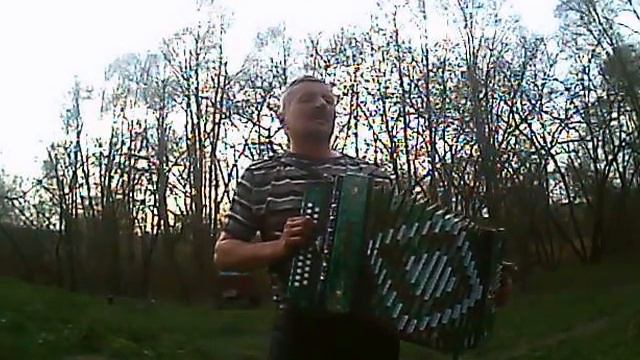 ИГРАЙ ГАРМОНЬ ДУШЕВНАЯ! Шёл казак на побывку домой. смотреть онлайн