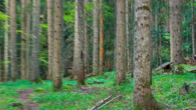 На что влияет Луна? 11.02.2016 смотреть онлайн