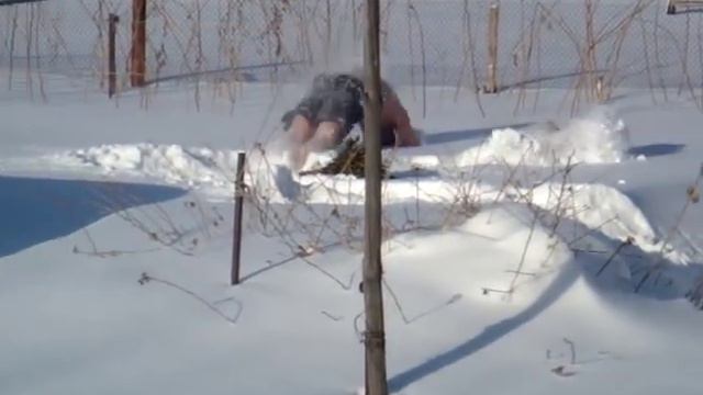 Снежные купания. смотреть онлайн