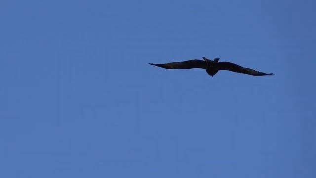Прекрасный вид на Волгу и песчаные острова. смотреть онлайн