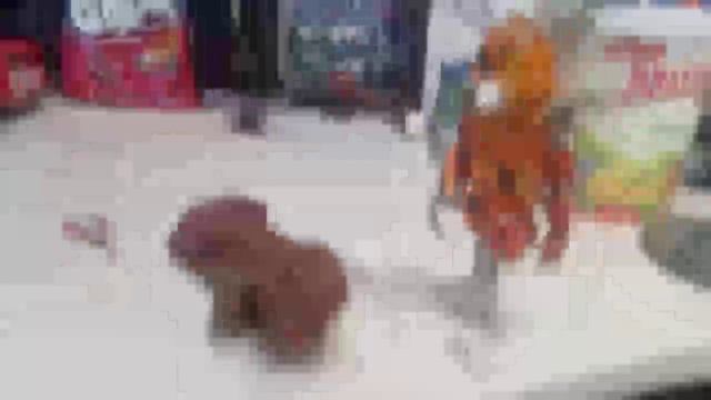 Эл-чип против Гримм Фокси. Анимация с оригинальными и не оригинальными экшен фигурками по Фнаф 6: смотреть онлайн