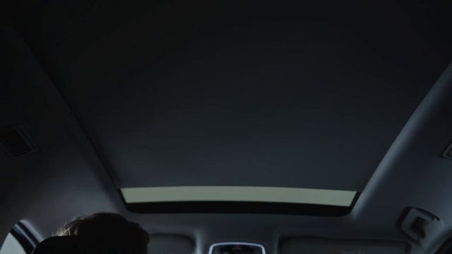 Голосовое управление EXEED. Инструкция по применению. смотреть онлайн