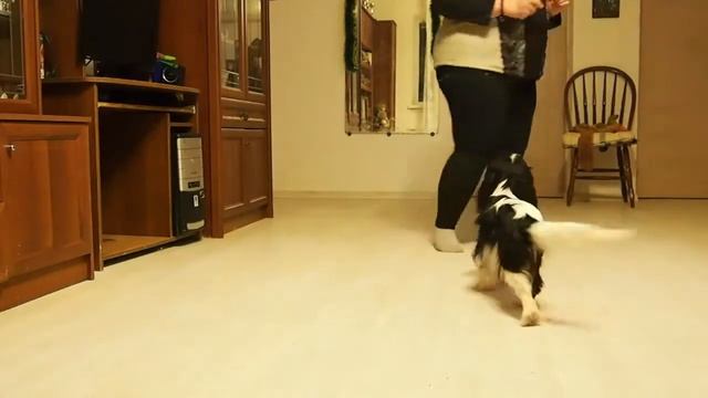 Группа желтые. Дюшес и Любовь Жижина. Основное+дополнительное. смотреть онлайн