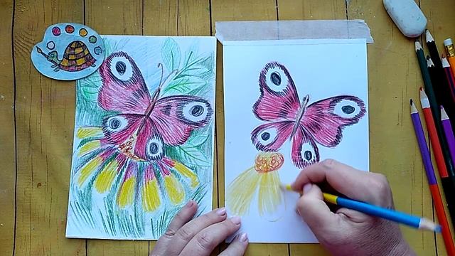 Рисуем цветными карандашами бабочку- на цветке. смотреть онлайн