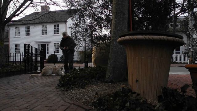 puppy training смотреть онлайн