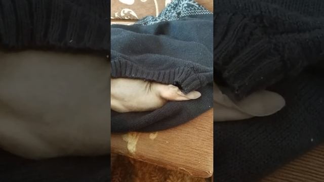 Кот храпит как человек смотреть онлайн