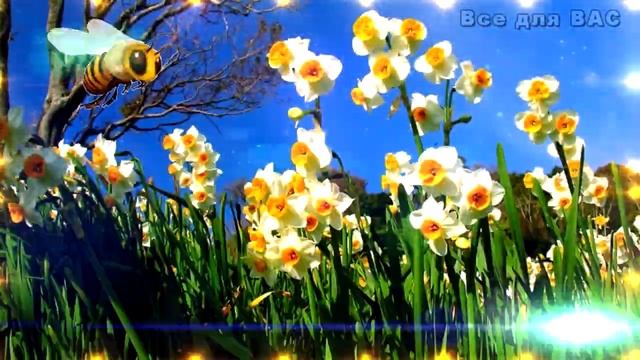 Добрые пожелания и красивые слова! Хорошему человеку от меня! [ Открытка ] смотреть онлайн