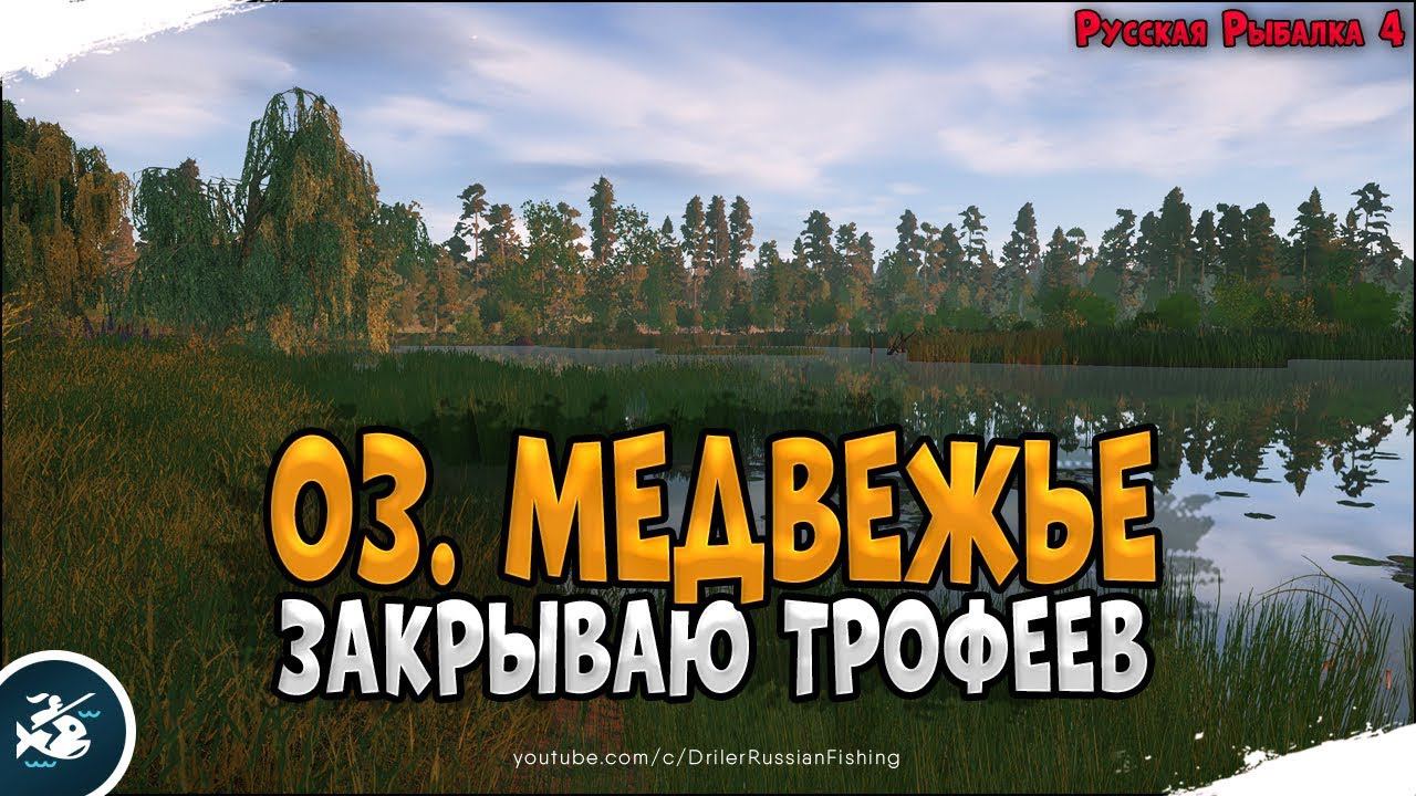 Почётный рыболов • Закрываю трофеев на Медвежке • Driler - Русская Рыбалка 4
