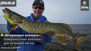 Рыбалка «Штормовые волкеры»: поверхностные воблеры для ветреной весны. А. Шанин. Anglers Practical