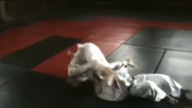 спартанец 1 смотреть онлайн