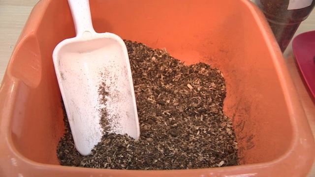 Календарь садовода 26.03.2022