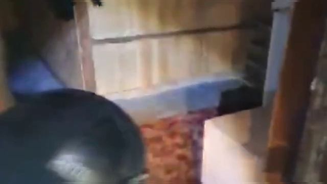 Задержали четвертого беглеца из изолятора в Истре смотреть онлайн