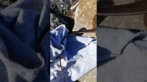 Внимание СКАТ - ХВОСТОКОЛ!!! Чем опасен Хвостокол или Stingray !? Аккуратней на рыбалке! Как быть!?