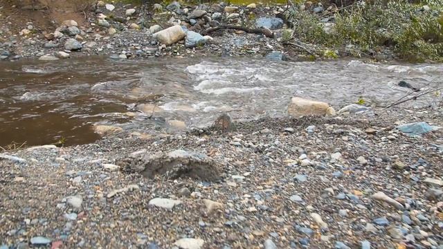 Buy Black Rhino Wheels at Fat Bobs Garage Black Rhino Predator смотреть онлайн