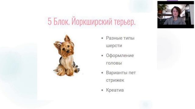 Вся правда о груминге.