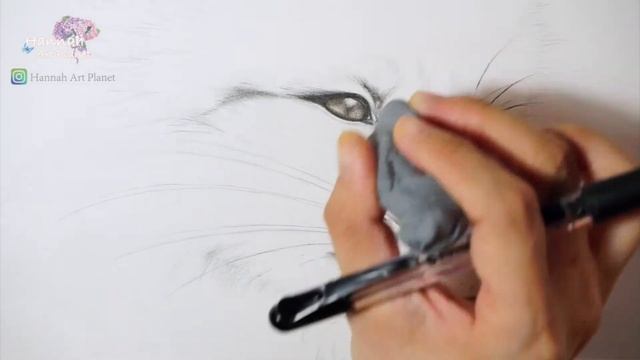 Drawing a Fox - How to draw a Fox with Color Pencils - Fox sketch 彩色鉛筆畫狐狸 彩鉛 狐狸素描 Drawing Tutorial смотреть онлайн
