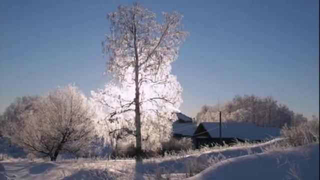 Маргарита Суворова - Лебеди-берёзы