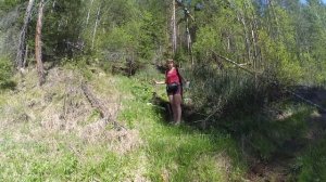 ВЕЛОПОХОД ЮТУБЕРА. ПЕРВЫЕ ВПЕЧАТЛЕНИЯ. НЕПОХОДНИЦА.