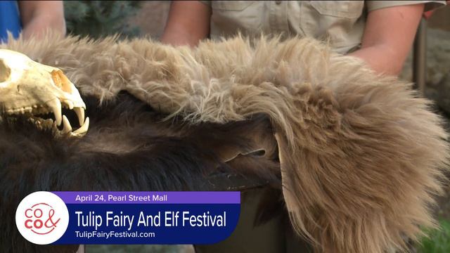 Boulder Tulip Fairy and Elf Festival - April 21, 2022 смотреть онлайн