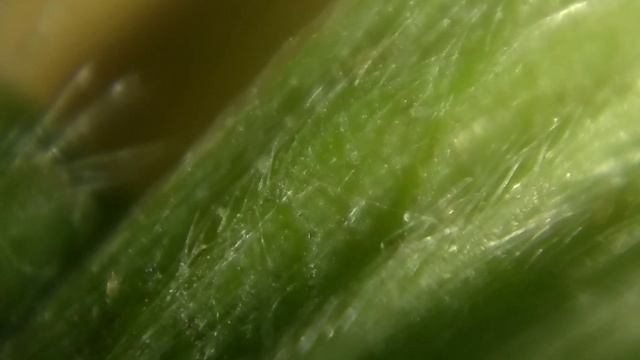 Строительные Отчеты