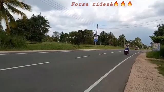 Honda forza 250 in sri lanka смотреть онлайн