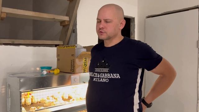 КЛЕТКИ ДЛЯ ПЕРЕПЕЛОВ / ИНКУБАТОР ДЛЯ ПЕРЕПЕЛОВ / КАК СДЕЛАТЬ ЭКО ФЕРМУ смотреть онлайн