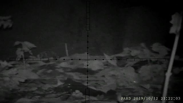 RAThunting 2 смотреть онлайн