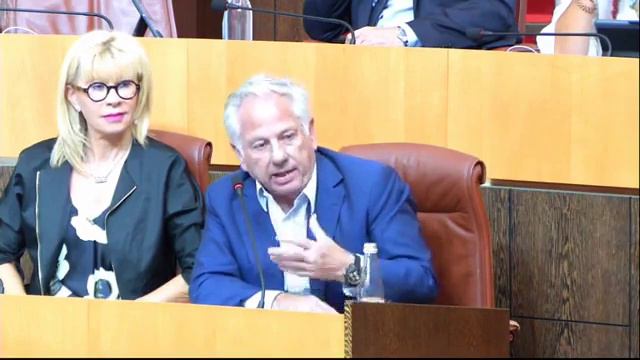 DSP Aérienne: intervention de Camille de Rocca Serra (26.09.19) смотреть онлайн