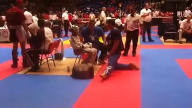 2012 Wako World Kickboxing Chanpionships смотреть онлайн