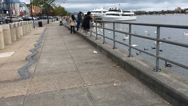 Мастерство и Качество