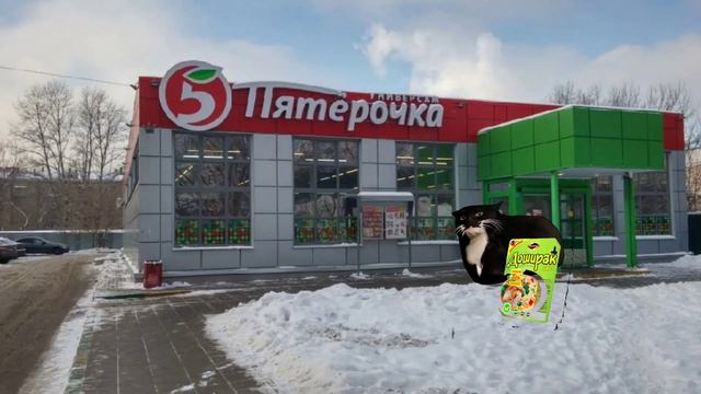 Путешествие maxwell cat смотреть онлайн