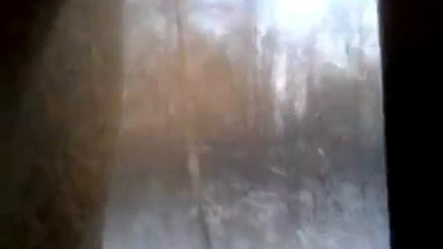 In train смотреть онлайн