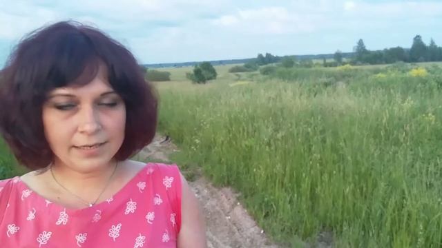 О Чудовском районе смотреть онлайн