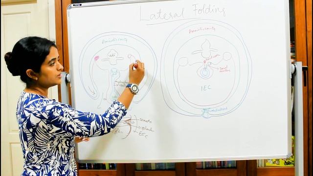 LATERAL FOLDING OF THE EMBRYO-DEVELOPMENT OF THE GIT-PART 2-DR ROSE JOSE MD смотреть онлайн