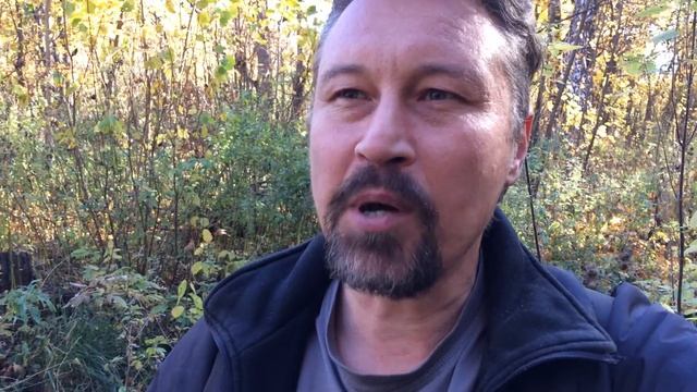 Как найти в лесу опята / Watch the nest and wonder смотреть онлайн