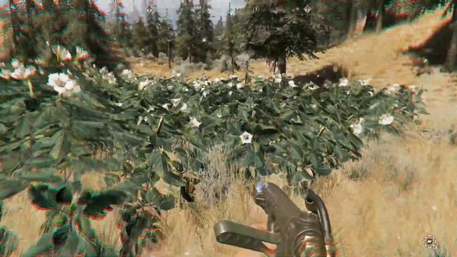 Far Cry 5 #18 Session de chasse à l'arc et pêche entre deux alu... смотреть онлайн