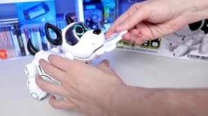 МОЯ СОБАКА - РОБОТ! ( Silverlit PupBo)