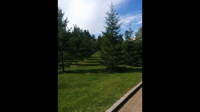 Простите люди, что не смог сдержать я слез смотреть онлайн