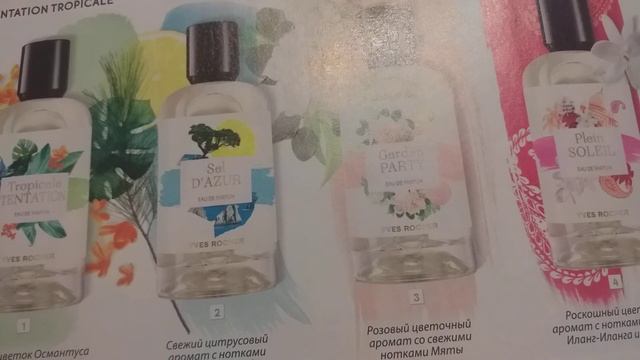 Два заказа от Ив Роше смотреть онлайн