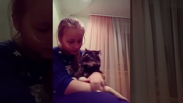 Как правильно ухаживать за котом!!! смотреть онлайн